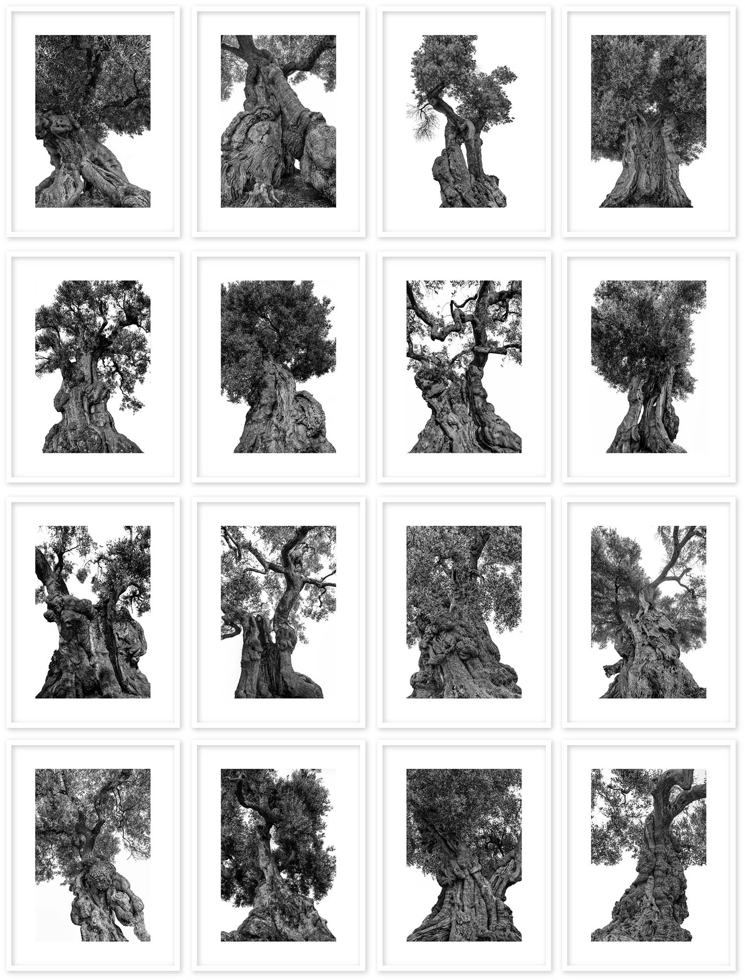 monumentali  - Martin Ogolter